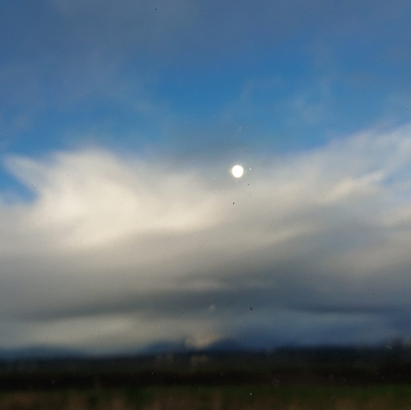 Meet your Posher, Winkie - Picture 1 of 1